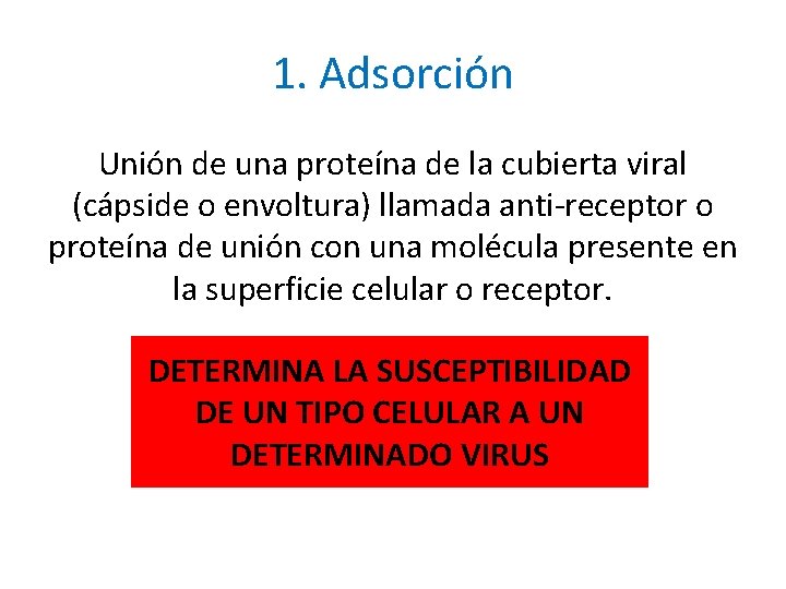 1. Adsorción Unión de una proteína de la cubierta viral (cápside o envoltura) llamada