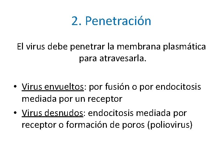 2. Penetración El virus debe penetrar la membrana plasmática para atravesarla. • Virus envueltos: