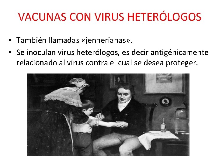 VACUNAS CON VIRUS HETERÓLOGOS • También llamadas «jennerianas» . • Se inoculan virus heterólogos,