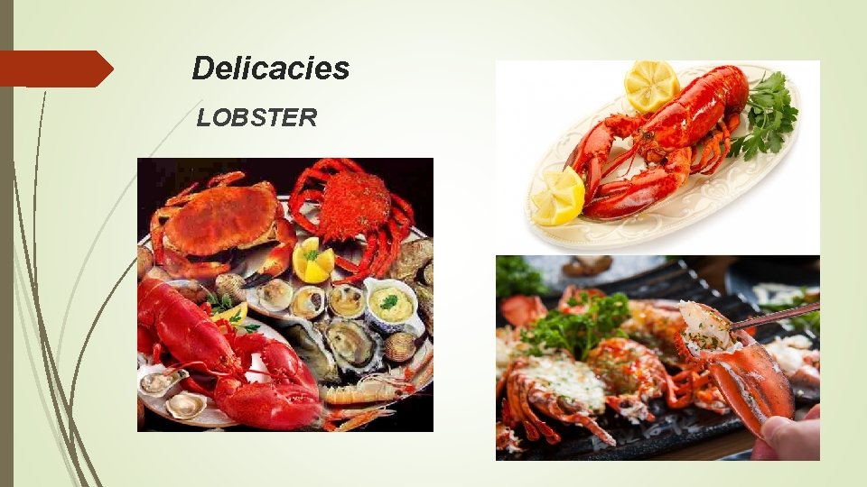 Delicacies LOBSTER 