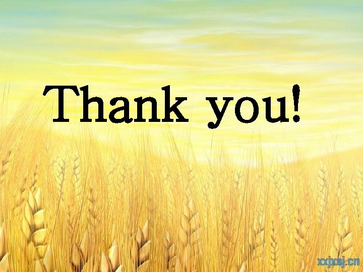 Thank you! Thank you!