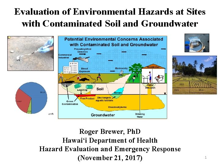 Evaluation of Environmental Hazards at Sites with Contaminated Soil and Groundwater Roger Brewer, Ph.