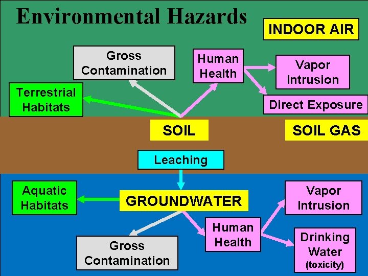 Environmental Hazards Gross Contamination Human Health Terrestrial Habitats INDOOR AIR Vapor Intrusion Direct Exposure