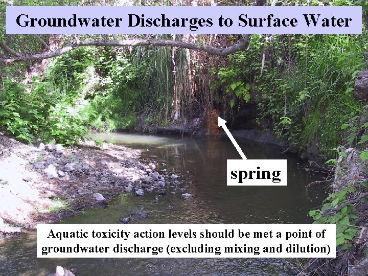 Groundwater Discharges to Surface Water spring Aquatic toxicity action levels should be met a