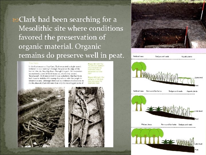  Clark had been searching for a Mesolithic site where conditions favored the preservation