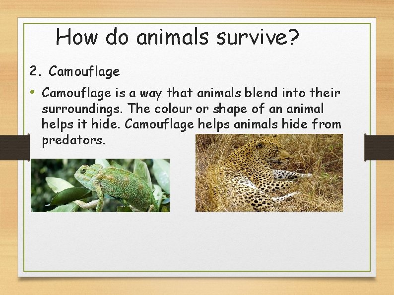 How do animals survive? 2. Camouflage • Camouflage is a way that animals blend