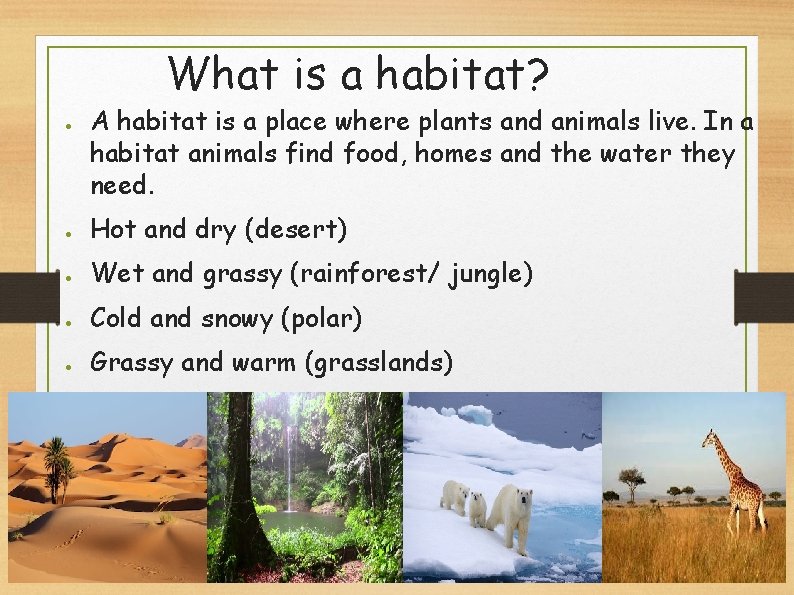 What is a habitat? ● A habitat is a place where plants and animals