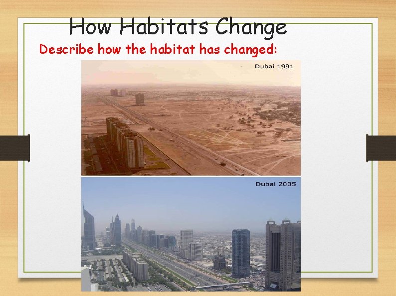 How Habitats Change Describe how the habitat has changed: 