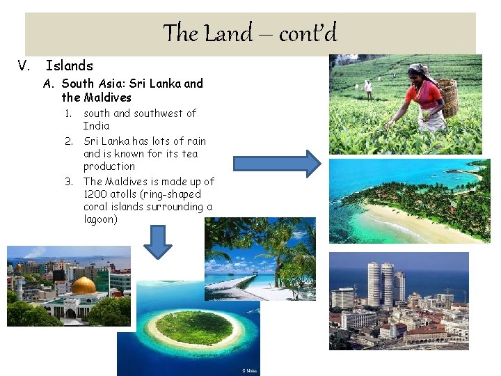 The Land – cont’d V. Islands A. South Asia: Sri Lanka and the Maldives