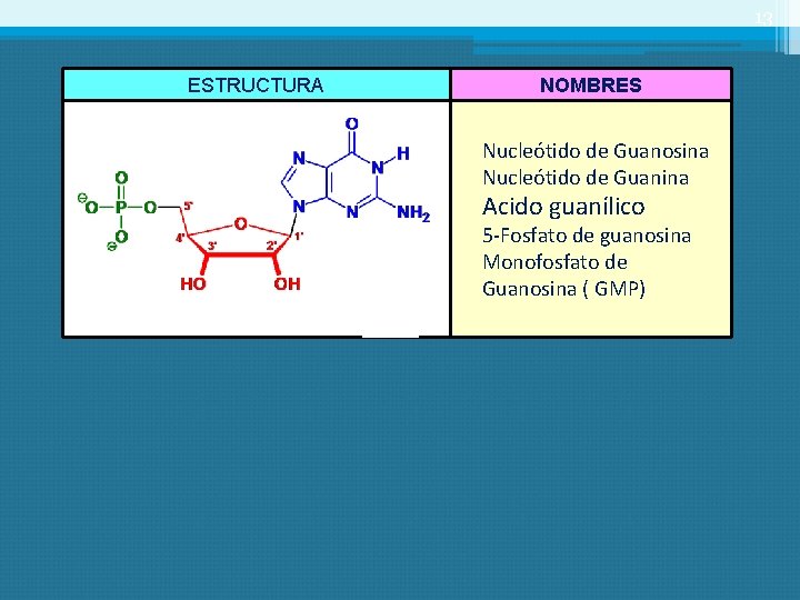 13 ESTRUCTURA NOMBRES Nucleótido de Guanosina Nucleótido de Guanina Acido guanílico 5 -Fosfato de