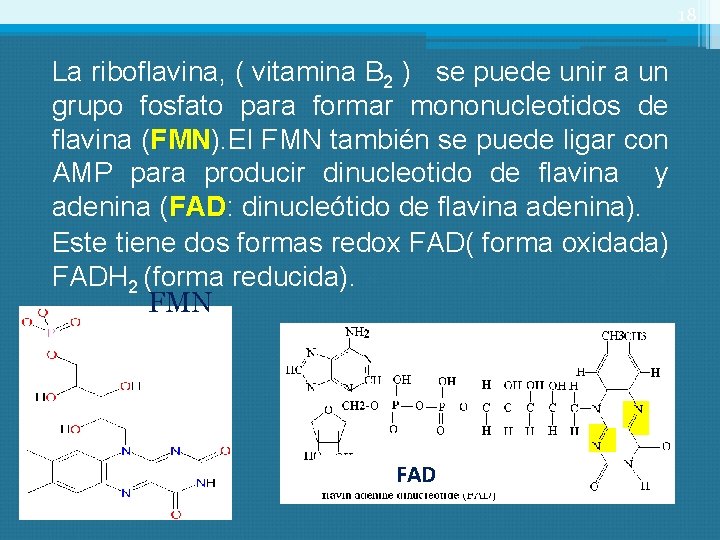 18 La riboflavina, ( vitamina B 2 ) se puede unir a un grupo