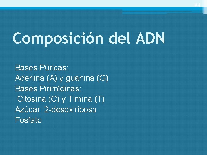 24 Composición del ADN Bases Púricas: Adenina (A) y guanina (G) Bases Pirimídinas: Citosina