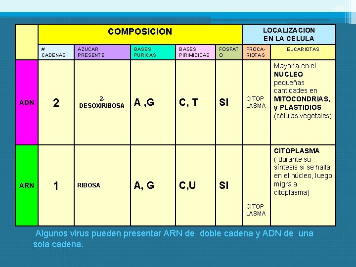 40 LOCALIZACION EN LA CELULA COMPOSICION # CADENAS ADN ARN 2 1 AZUCAR PRESENTE