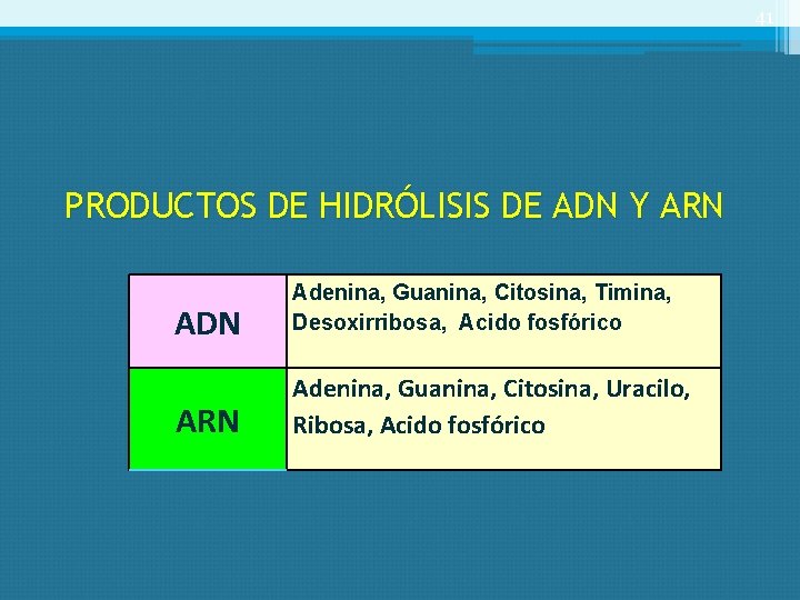 41 PRODUCTOS DE HIDRÓLISIS DE ADN Y ARN ADN Adenina, Guanina, Citosina, Timina, Desoxirribosa,