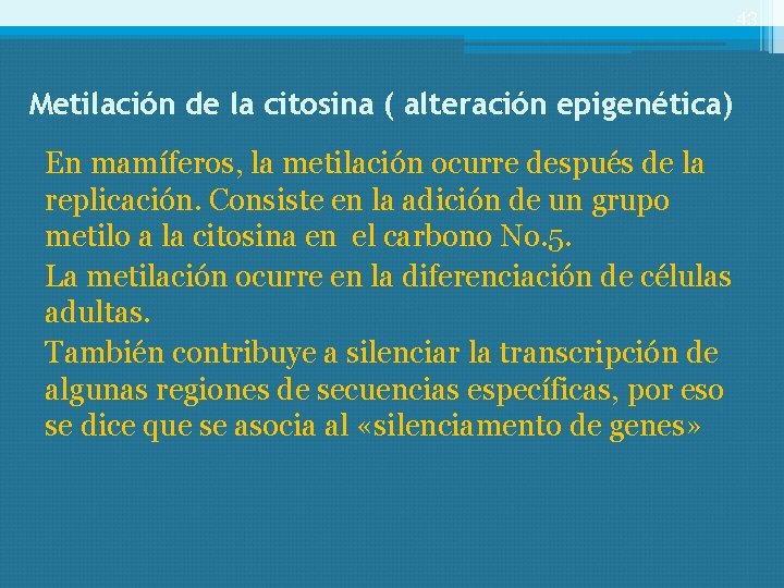 43 Metilación de la citosina ( alteración epigenética) En mamíferos, la metilación ocurre después