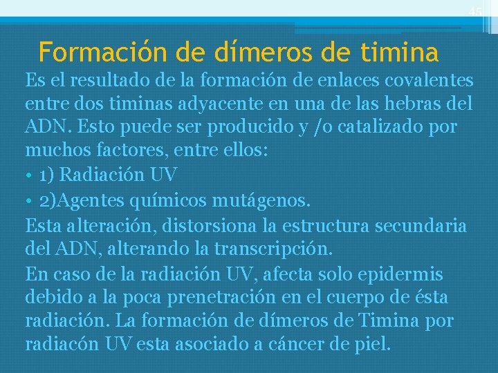 45 Formación de dímeros de timina Es el resultado de la formación de enlaces