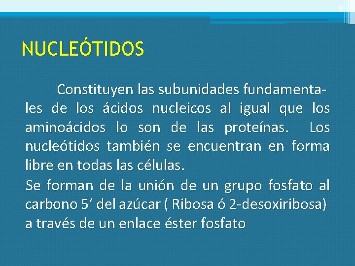 9 NUCLEÓTIDOS Constituyen las subunidades fundamentales de los ácidos nucleicos al igual que los