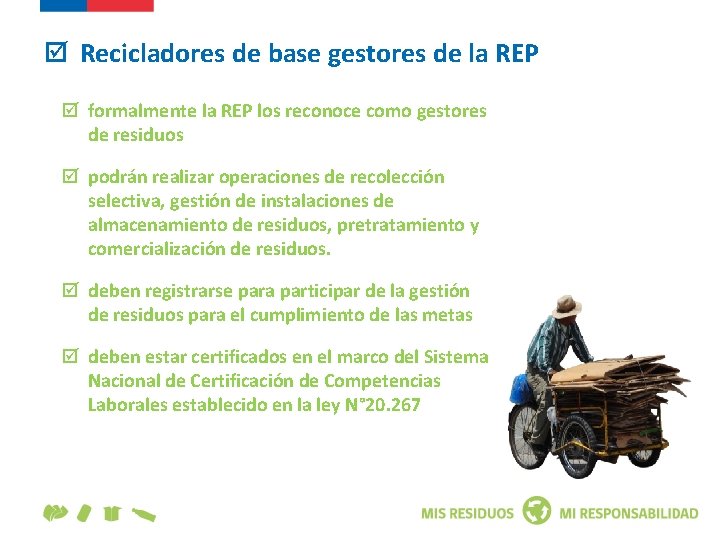  Recicladores de base gestores de la REP formalmente la REP los reconoce como