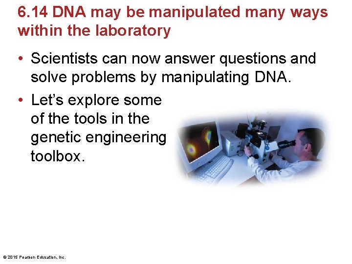 6. 14 DNA may be manipulated many ways within the laboratory • Scientists can 6. 14 DNA may be manipulated many ways within the laboratory • Scientists can