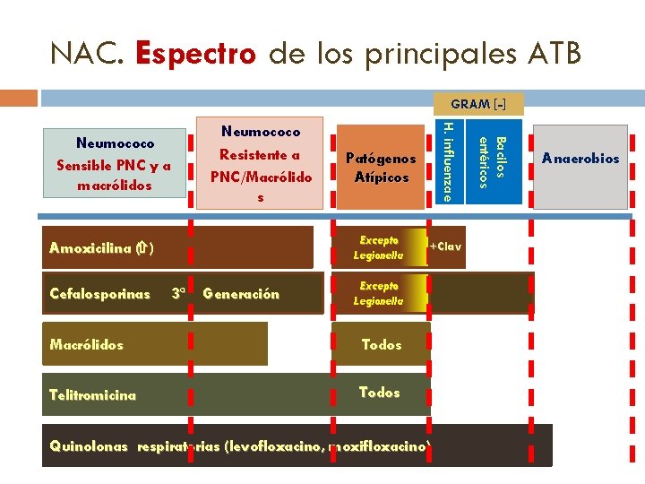 NAC. Espectro de los principales ATB GRAM [-] Excepto Legionella Amoxicilina ( ) Cefalosporinas