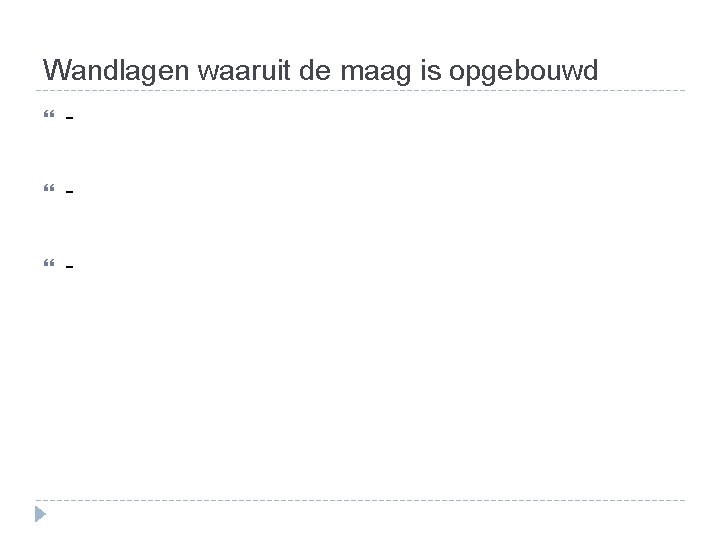 Wandlagen waaruit de maag is opgebouwd - - - Wandlagen waaruit de maag is opgebouwd - - -