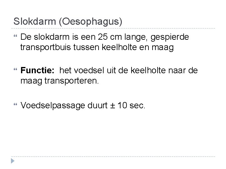 Slokdarm (Oesophagus) De slokdarm is een 25 cm lange, gespierde transportbuis tussen keelholte en Slokdarm (Oesophagus) De slokdarm is een 25 cm lange, gespierde transportbuis tussen keelholte en