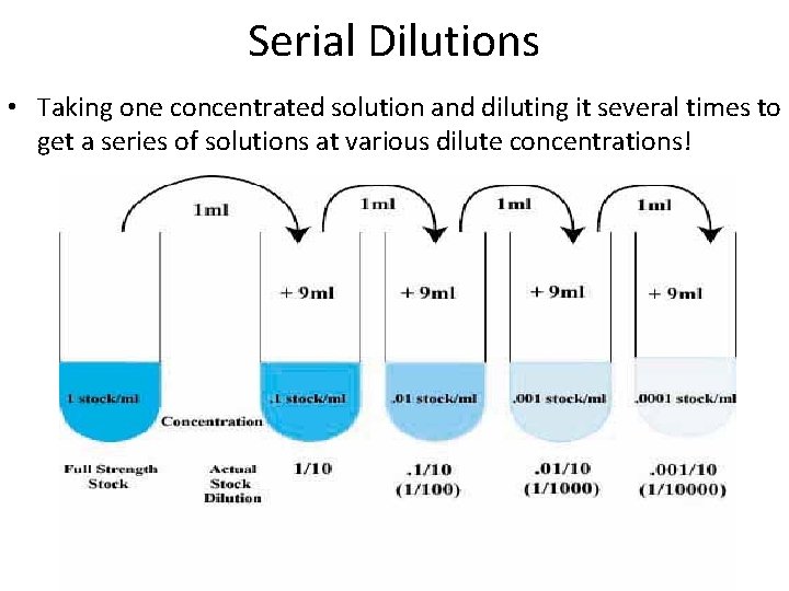 Serial Dilutions • Taking one concentrated solution and diluting it several times to get