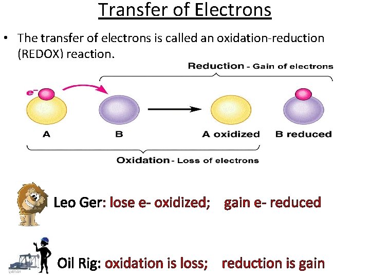 Transfer of Electrons • The transfer of electrons is called an oxidation-reduction (REDOX) reaction.