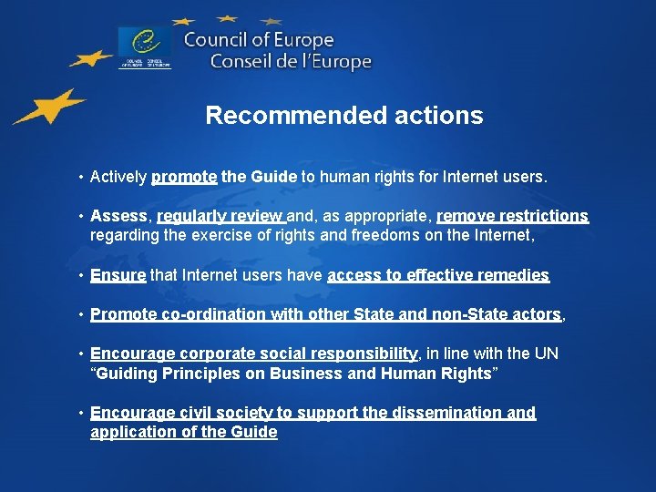 GUIDE TO HUMAN RIGHTS FOR INTERNET USERS Implementation