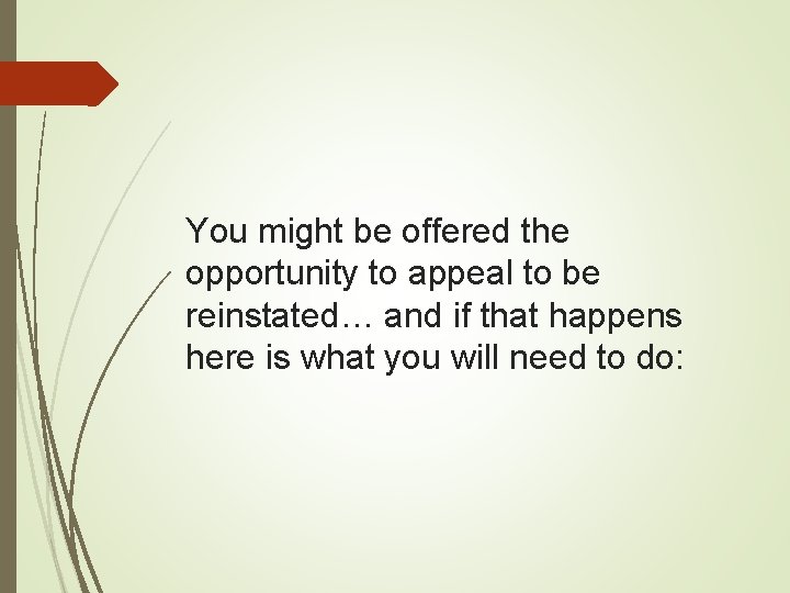 You might be offered the opportunity to appeal to be reinstated… and if that