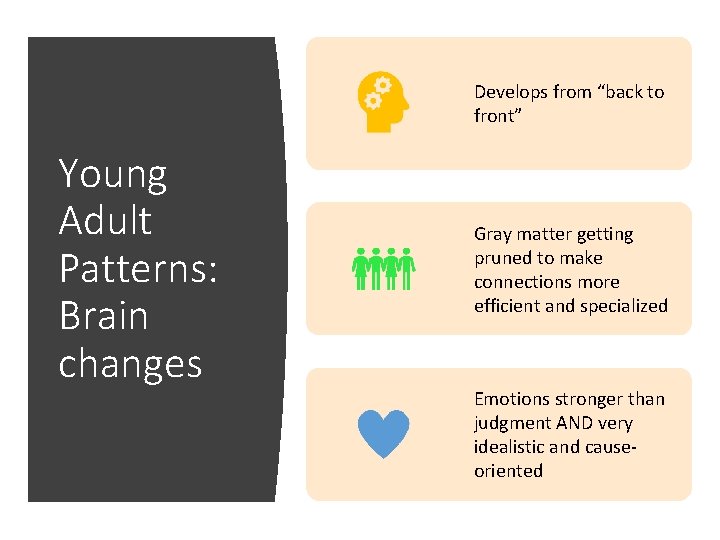 Develops from “back to front” Young Adult Patterns: Brain changes Gray matter getting pruned