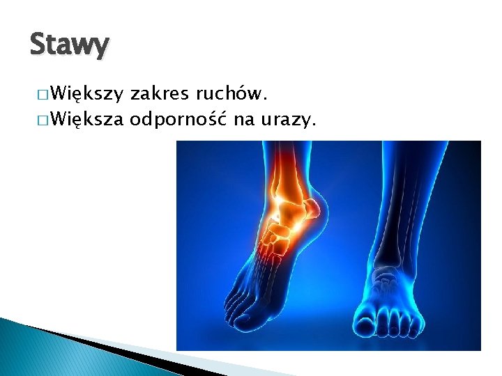 Stawy � Większy zakres ruchów. � Większa odporność na urazy. 