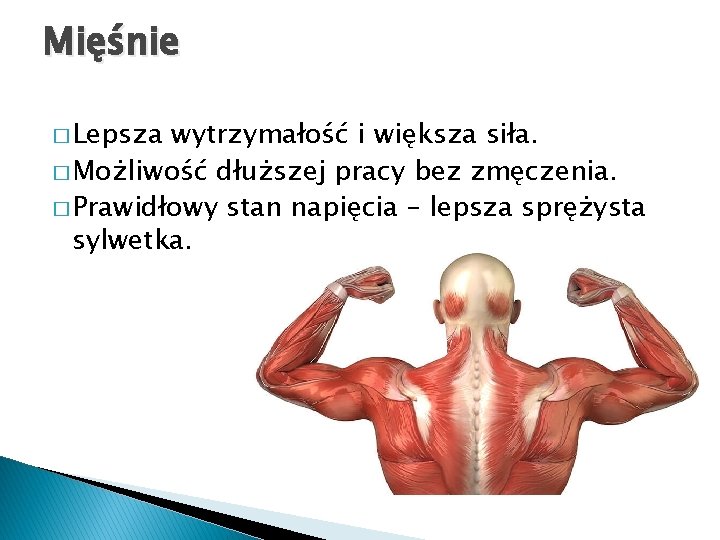 Mięśnie � Lepsza wytrzymałość i większa siła. � Możliwość dłuższej pracy bez zmęczenia. �