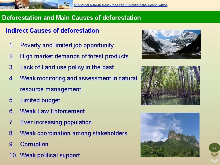 Ministry of Natural Resources and Environmental Conservation Deforestation and Main Causes of deforestation Indirect Ministry of Natural Resources and Environmental Conservation Deforestation and Main Causes of deforestation Indirect