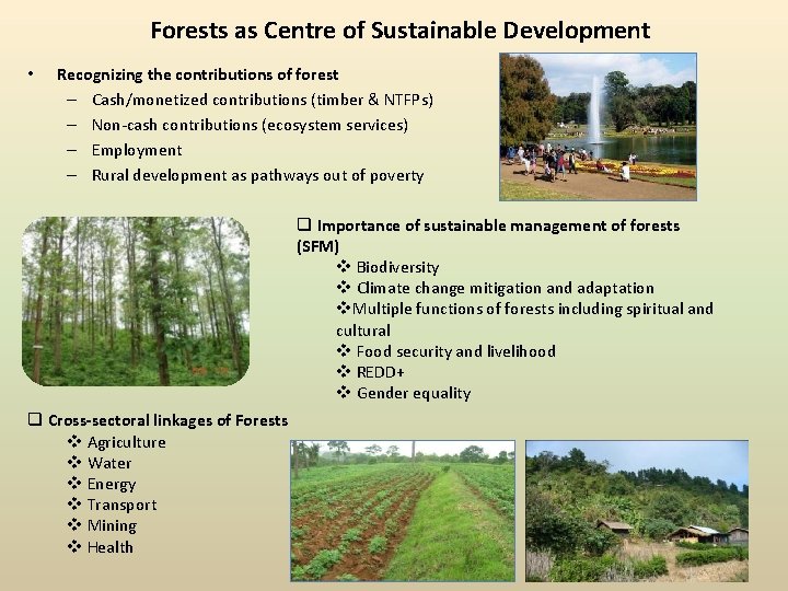 Forests as Centre of Sustainable Development • Recognizing the contributions of forest – Cash/monetized Forests as Centre of Sustainable Development • Recognizing the contributions of forest – Cash/monetized