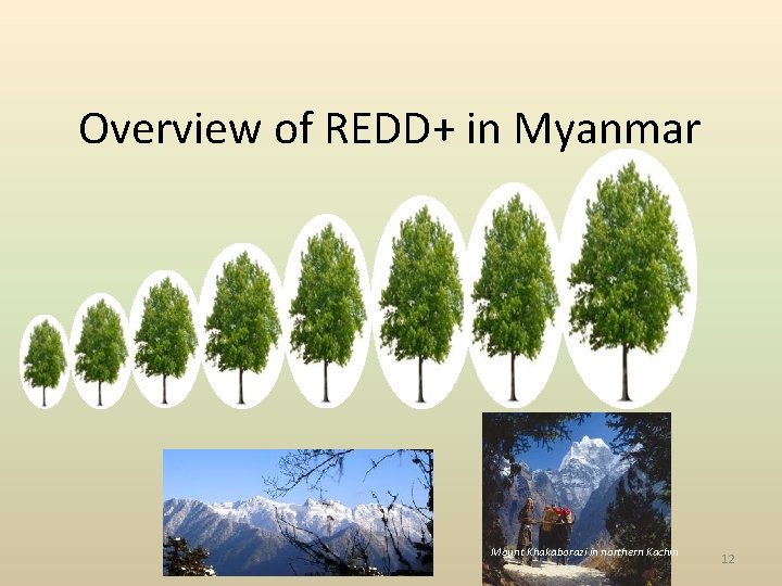Overview of REDD+ in Myanmar Mount Khakaborazi in northern Kachin 12 Overview of REDD+ in Myanmar Mount Khakaborazi in northern Kachin 12
