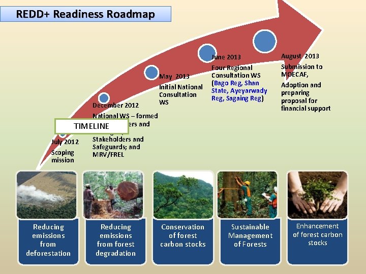 REDD+ Readiness Roadmap May 2013 December 2012 Initial National Consultation WS June 2013 August REDD+ Readiness Roadmap May 2013 December 2012 Initial National Consultation WS June 2013 August
