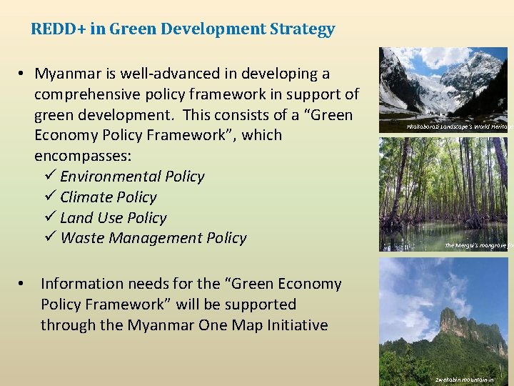 REDD+ in Green Development Strategy • Myanmar is well-advanced in developing a comprehensive policy REDD+ in Green Development Strategy • Myanmar is well-advanced in developing a comprehensive policy