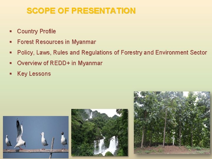 SCOPE OF PRESENTATION § Country Profile § Forest Resources in Myanmar § Policy, Laws, SCOPE OF PRESENTATION § Country Profile § Forest Resources in Myanmar § Policy, Laws,