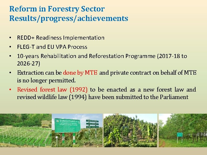 Reform in Forestry Sector Results/progress/achievements • REDD+ Readiness Implementation • FLEG-T and EU VPA Reform in Forestry Sector Results/progress/achievements • REDD+ Readiness Implementation • FLEG-T and EU VPA