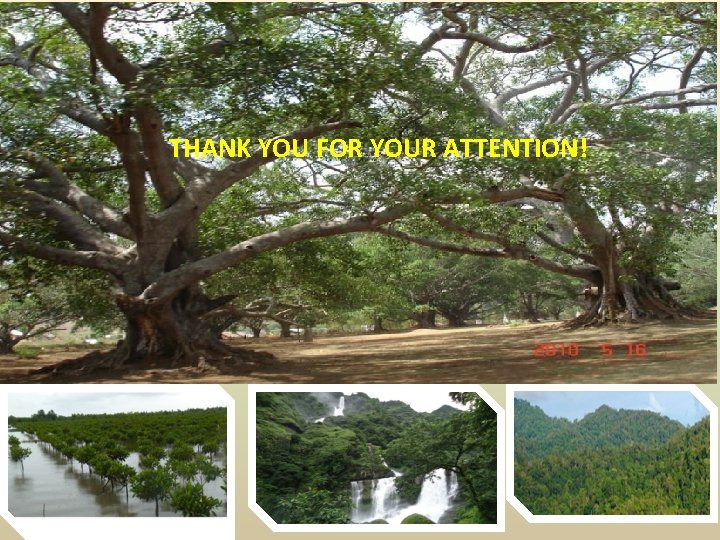 THANK YOU FOR YOUR ATTENTION! THANK YOU FOR YOUR ATTENTION!