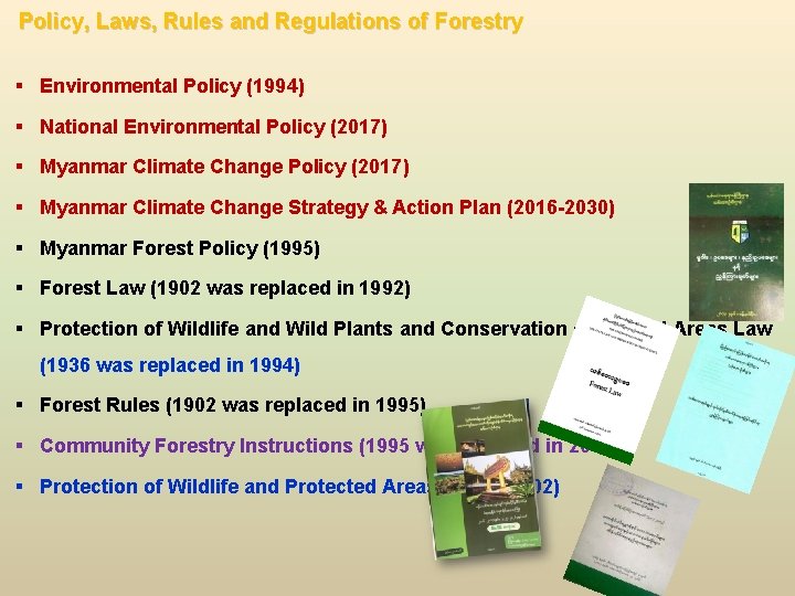 Policy, Laws, Rules and Regulations of Forestry § Environmental Policy (1994) § National Environmental Policy, Laws, Rules and Regulations of Forestry § Environmental Policy (1994) § National Environmental