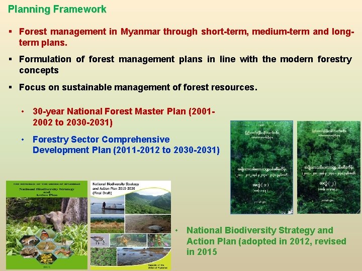 Planning Framework § Forest management in Myanmar through short-term, medium-term and longterm plans. § Planning Framework § Forest management in Myanmar through short-term, medium-term and longterm plans. §