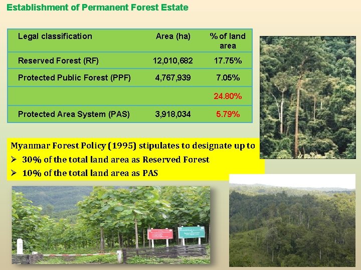 Establishment of Permanent Forest Estate Legal classification Area (ha) % of land area Reserved Establishment of Permanent Forest Estate Legal classification Area (ha) % of land area Reserved