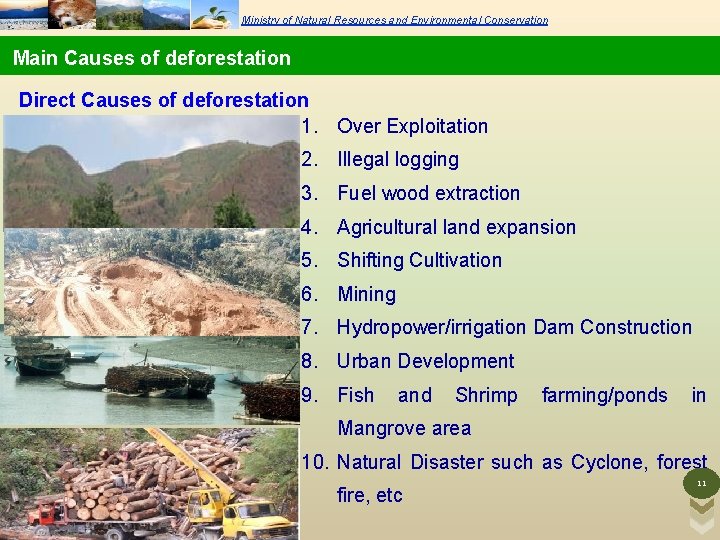 Ministry of Natural Resources and Environmental Conservation Main Causes of deforestation Direct Causes of Ministry of Natural Resources and Environmental Conservation Main Causes of deforestation Direct Causes of