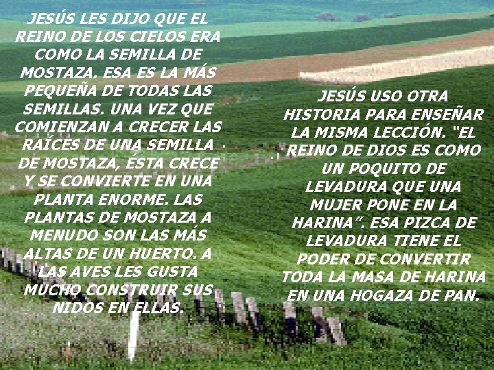 JESÚS LES DIJO QUE EL REINO DE LOS CIELOS ERA COMO LA SEMILLA DE