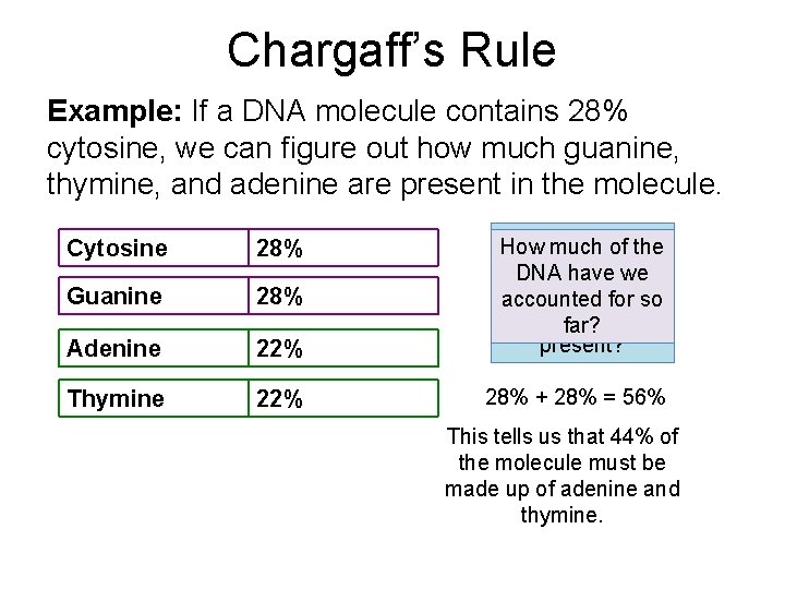 Chargaff’s Rule Example: If a DNA molecule contains 28% cytosine, we can figure out