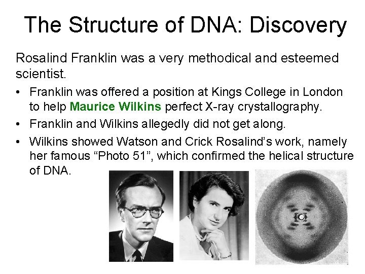 The Structure of DNA: Discovery Rosalind Franklin was a very methodical and esteemed scientist.