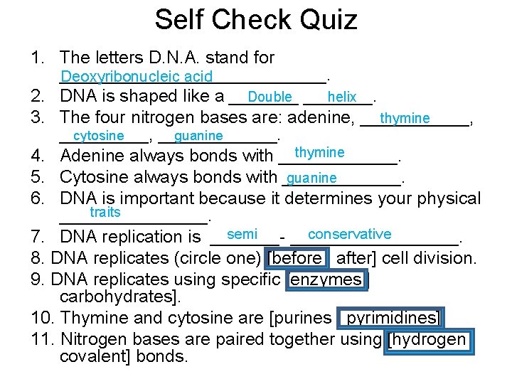 Self Check Quiz 1. The letters D. N. A. stand for ______________. Deoxyribonucleic acid