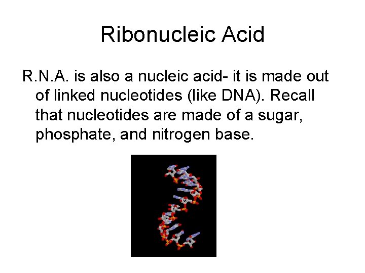 Ribonucleic Acid R. N. A. is also a nucleic acid- it is made out